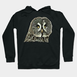 Gray owl Hoodie